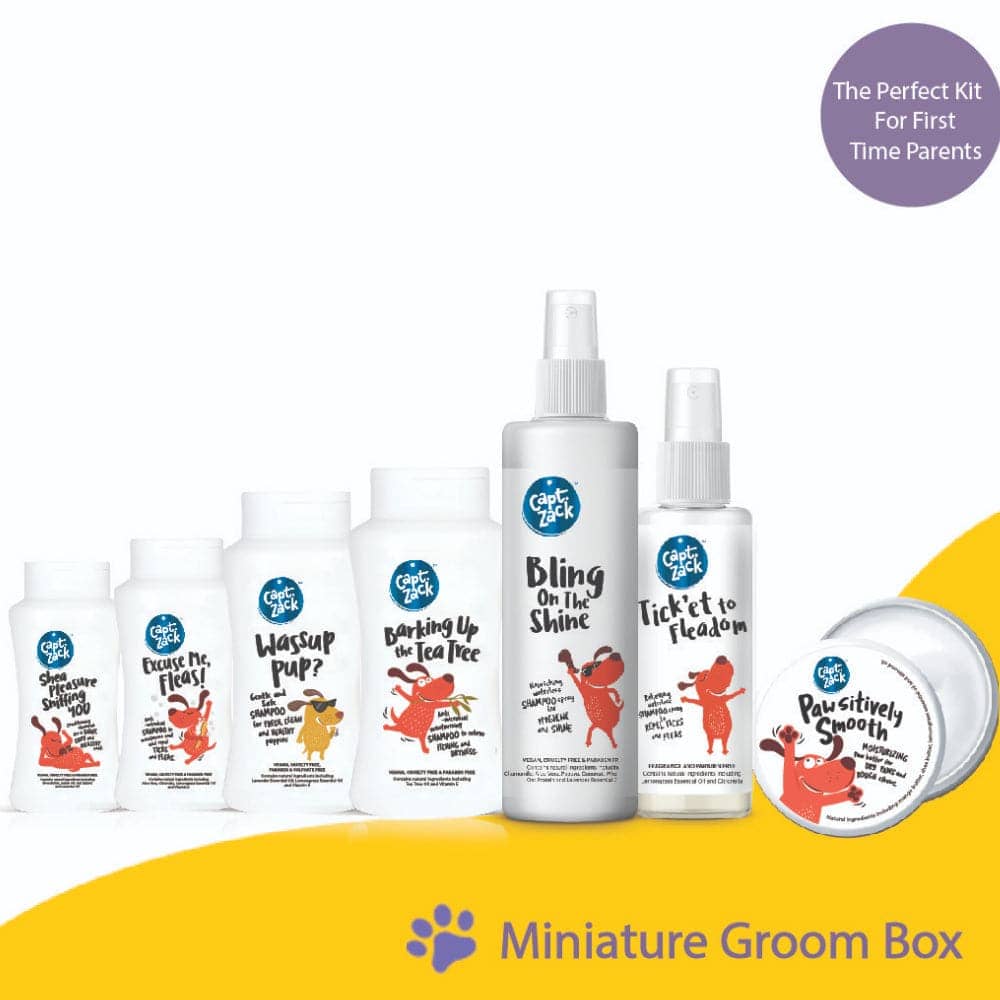 Captain Zack Miniature Box for Dogs