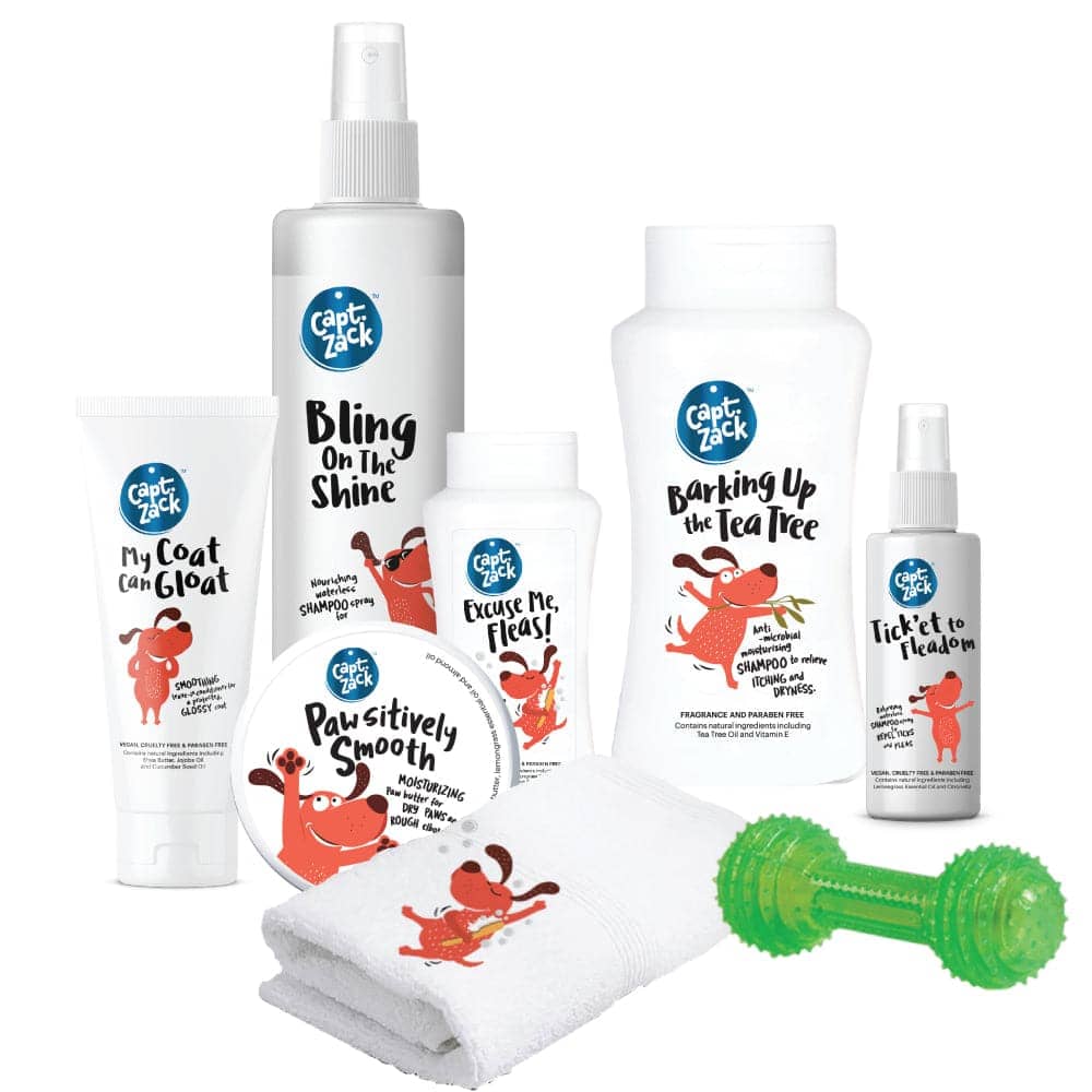 Captain Zack The Labrador Groom Box for Dogs