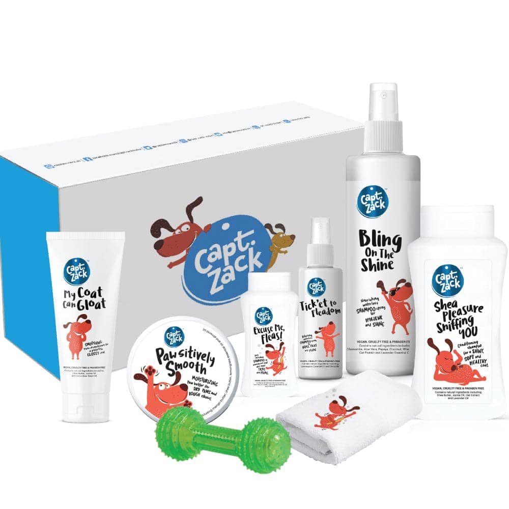 Captain Zack The Shihtzu Groom Box for Dogs