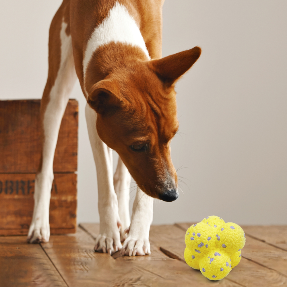 Fofos Durable Puller Toy for Dogs
