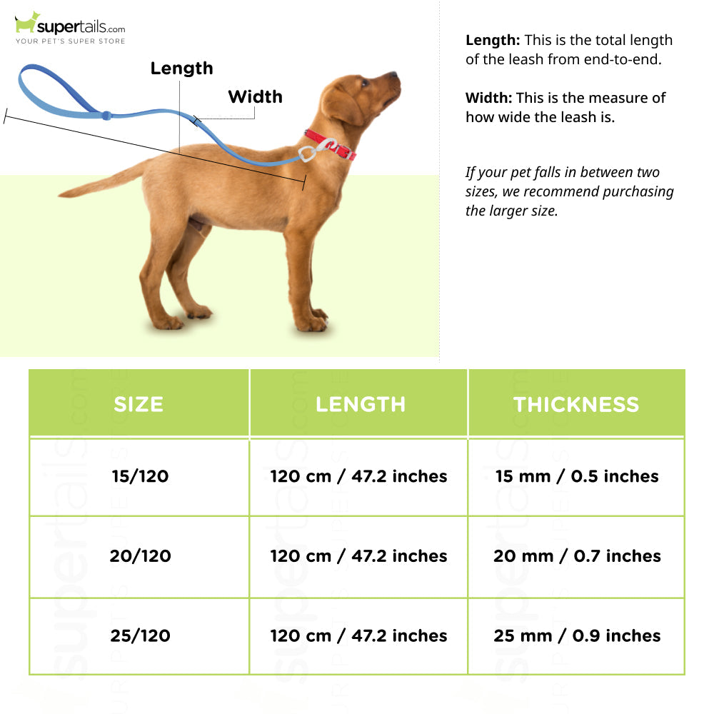 Ferplast Club G Nylon Leash for Dogs (Purple)