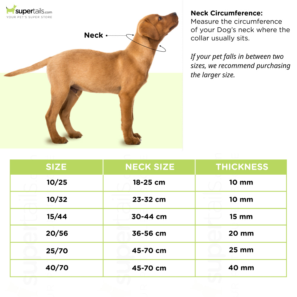Ferplast Club C Nylon Collar for Dogs (Green)