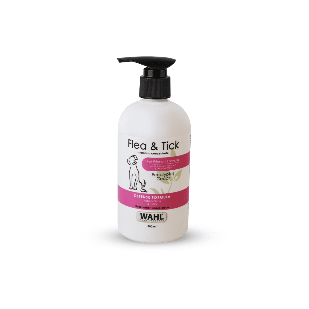 Wahl Flea & Tick Eucalyptus Cedar Shampoo for Dogs (Pack of 3)