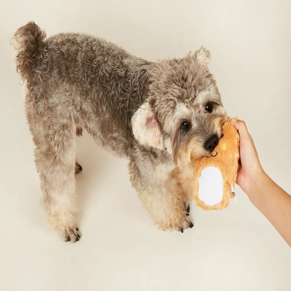 Fofos Puppy Plush Toys  for Dogs