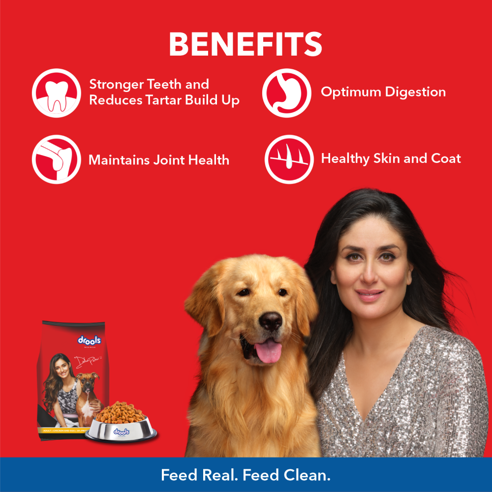 Birthday Special Deal Drools Chicken and Egg Adult Dog Dry Food (10+1Kg)