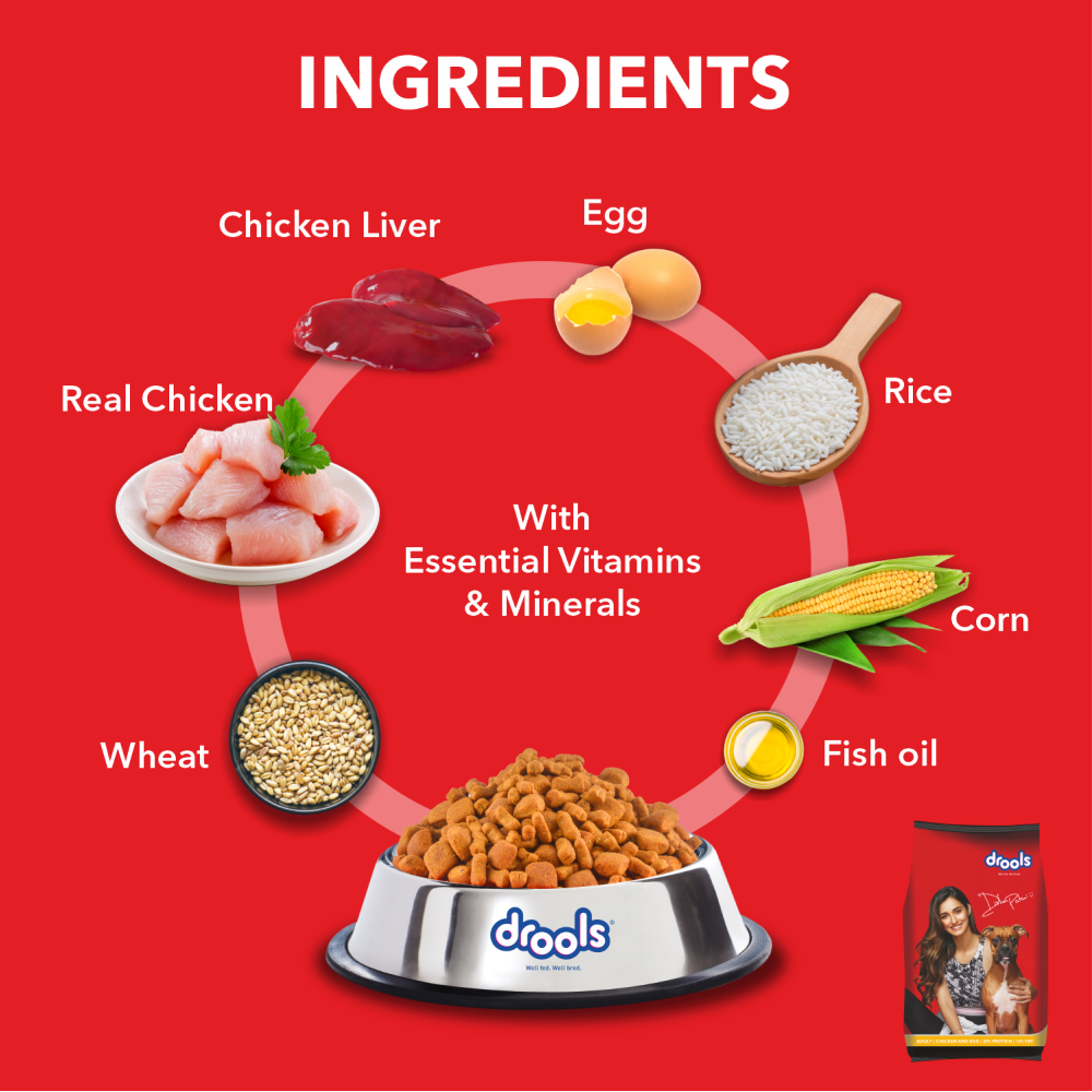 Birthday Special Deal Drools Chicken and Egg Adult Dog Dry Food (10+1Kg)