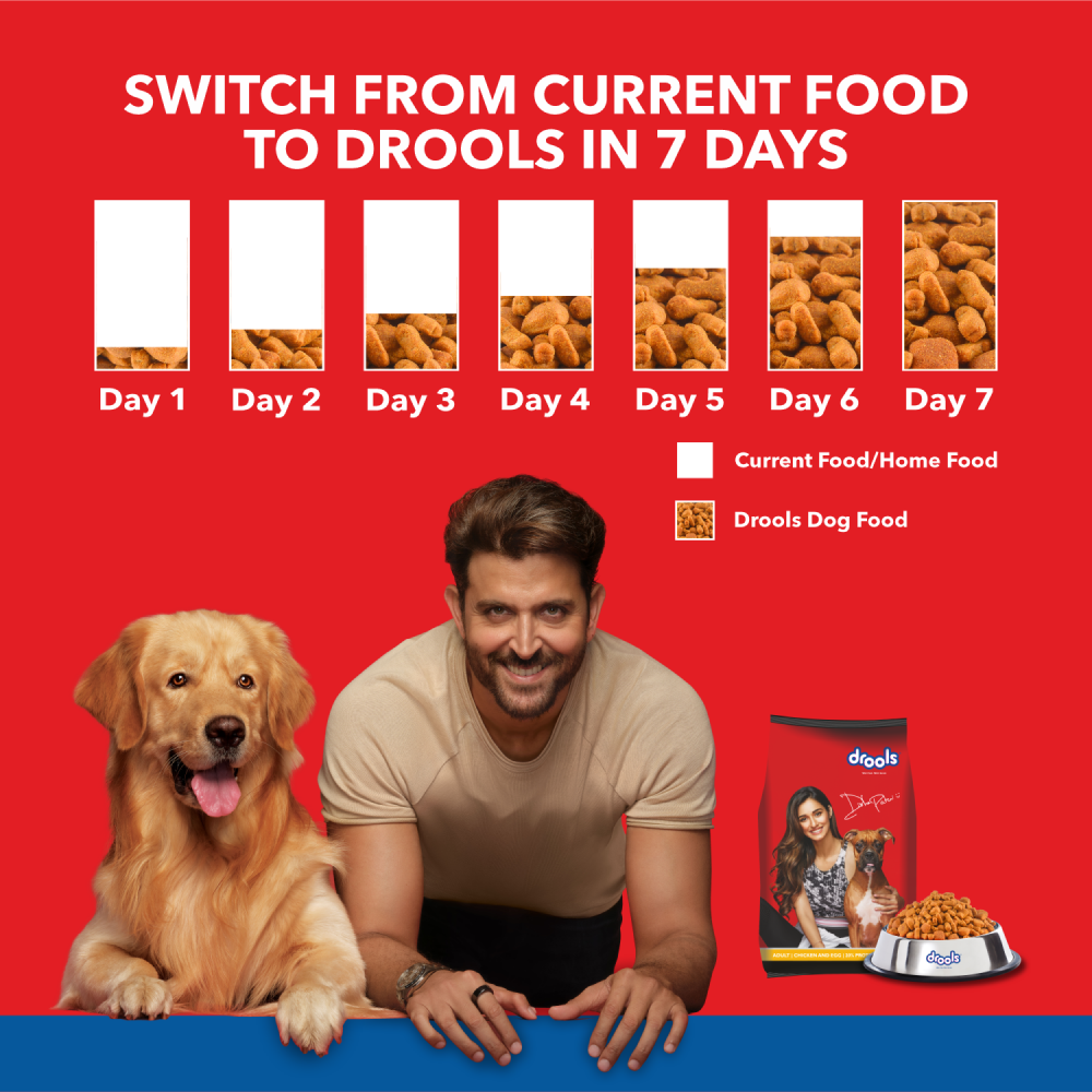 Birthday Special Deal Drools Chicken and Egg Adult Dog Dry Food (10+1Kg)