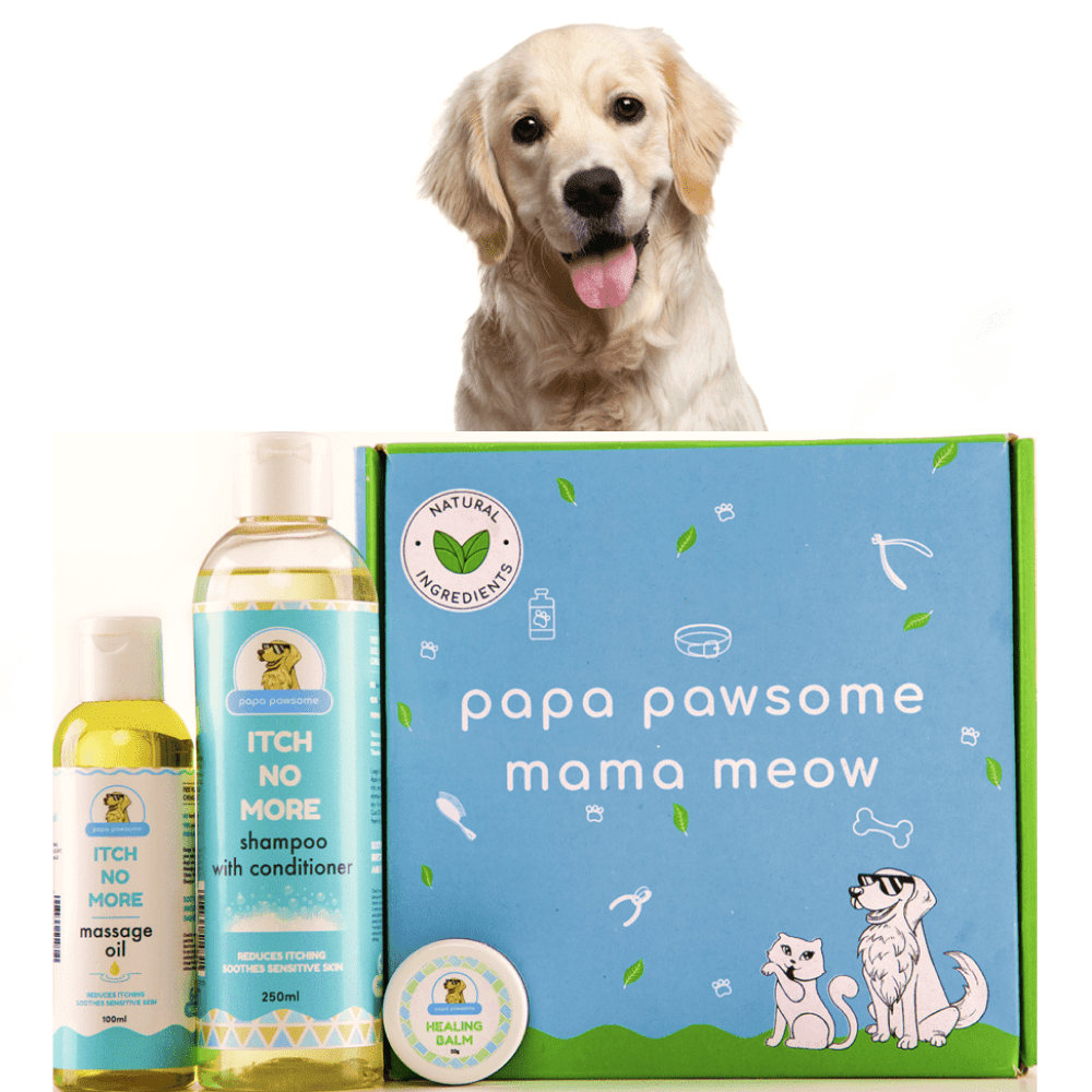 Papa Pawsome Itch No More Care Kit for Dogs
