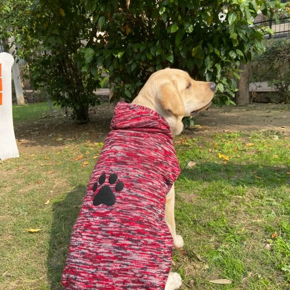 Pet Snugs Fur Coated Paw Design Sweaters For Dogs (Red)
