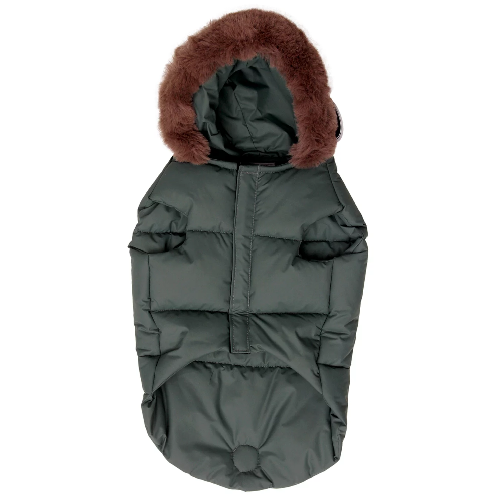Pet Snugs Winter Jackets For Dogs (Green)