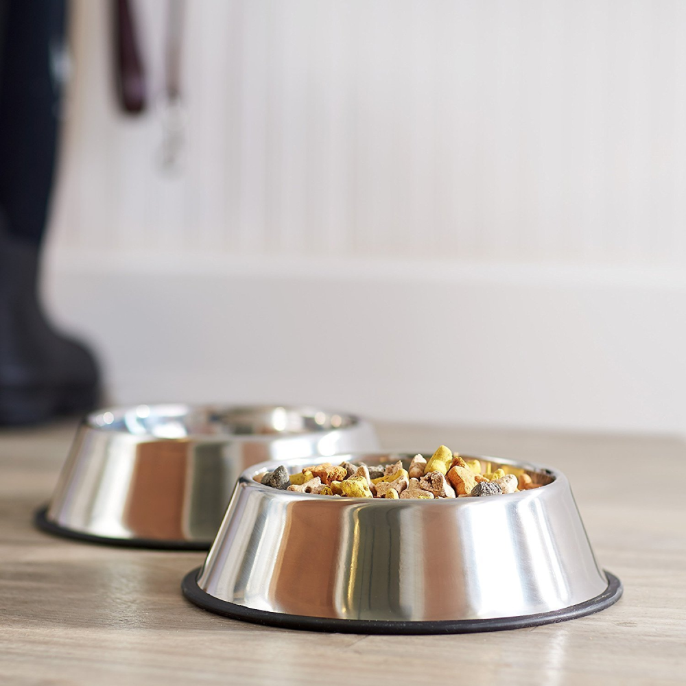 Pets Empire Regular Anti-Skid Bowl for Pets
