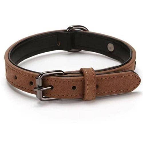 Pets Empire Soft Padded PU Collar for Dogs (Assorted)