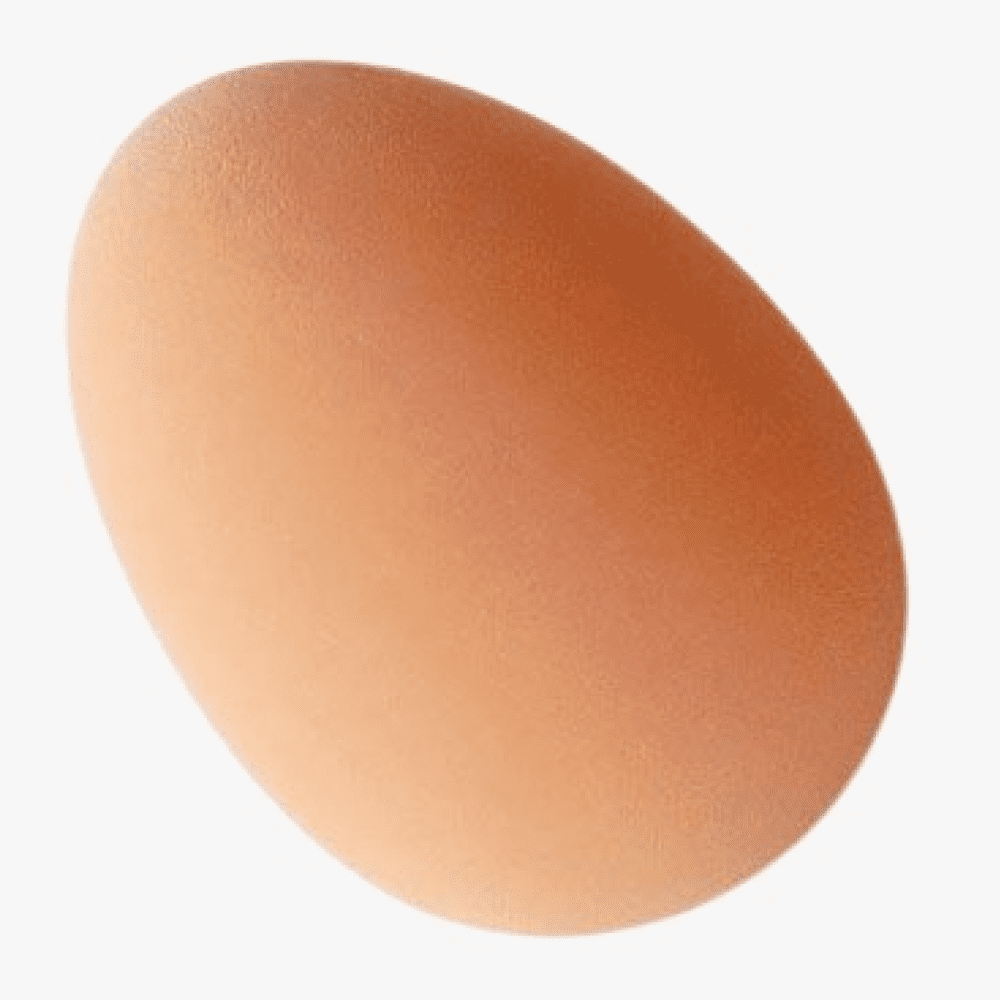 Smarty Pet Latex Egg Ball Shaped Toy for Dogs