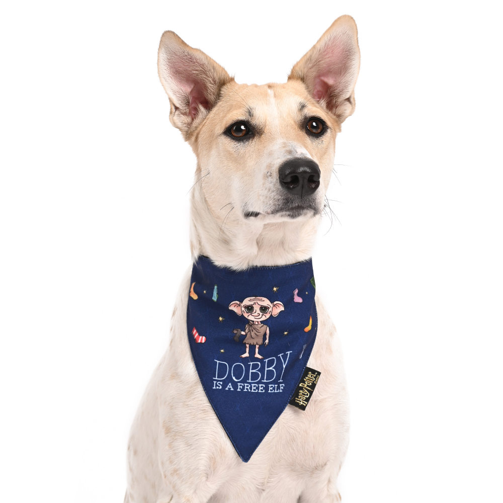 Harry Potter Doggy Dobby Bandana For Dogs