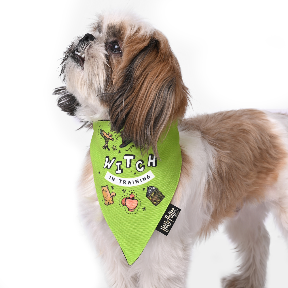 Harry Potter Woofy Witch Bandana For Dogs
