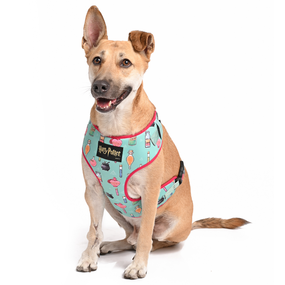 Harry Potter Potions In Motions Harness for Dogs