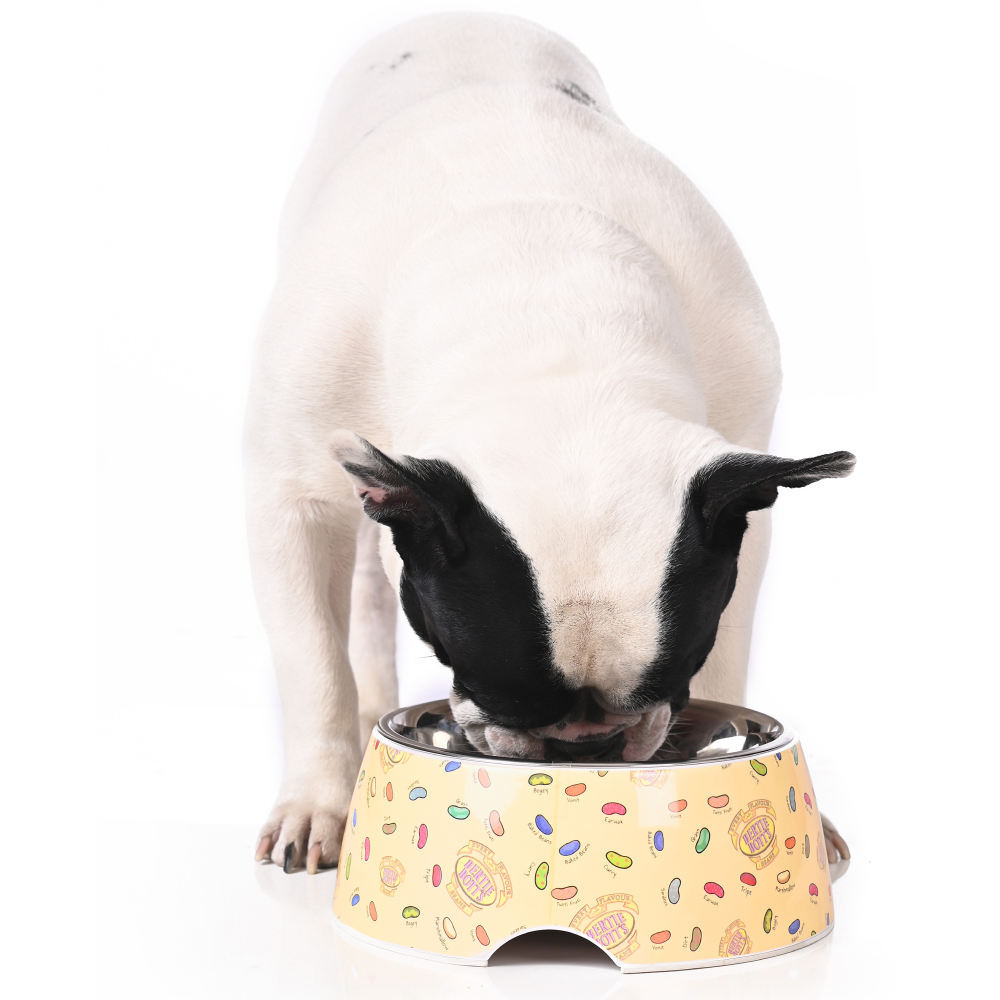 Harry Potter Every Flavour Bean Bowl for Pets