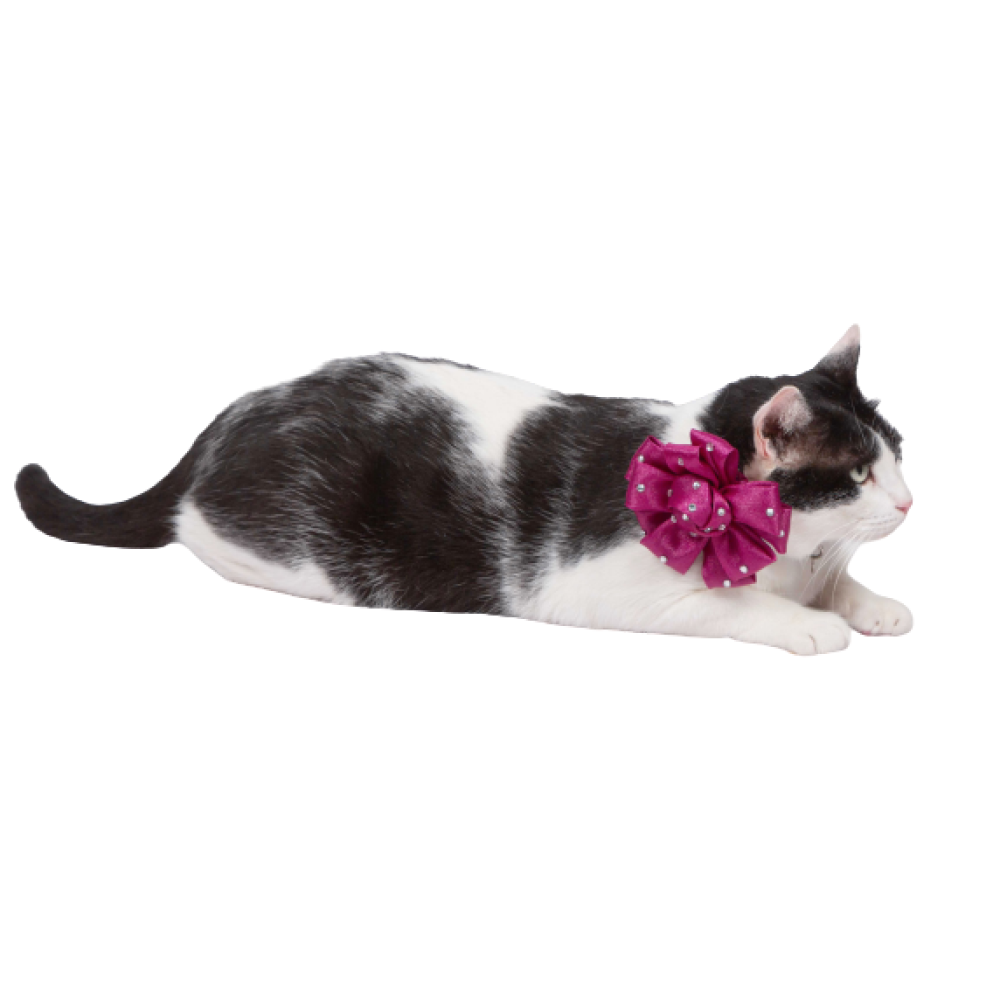 Up4pets Flower Bowtie for Dogs (Purple)