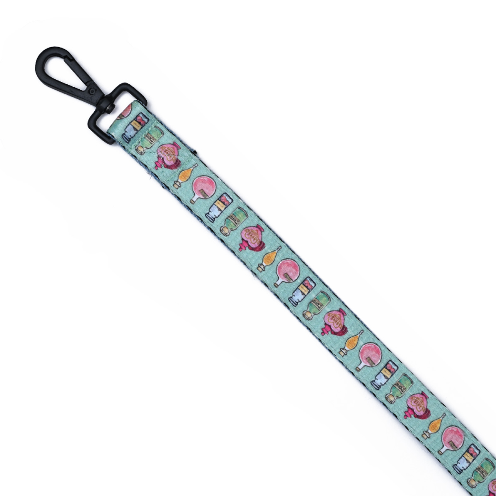 Harry Potter Potions In Motions Leash for Dogs
