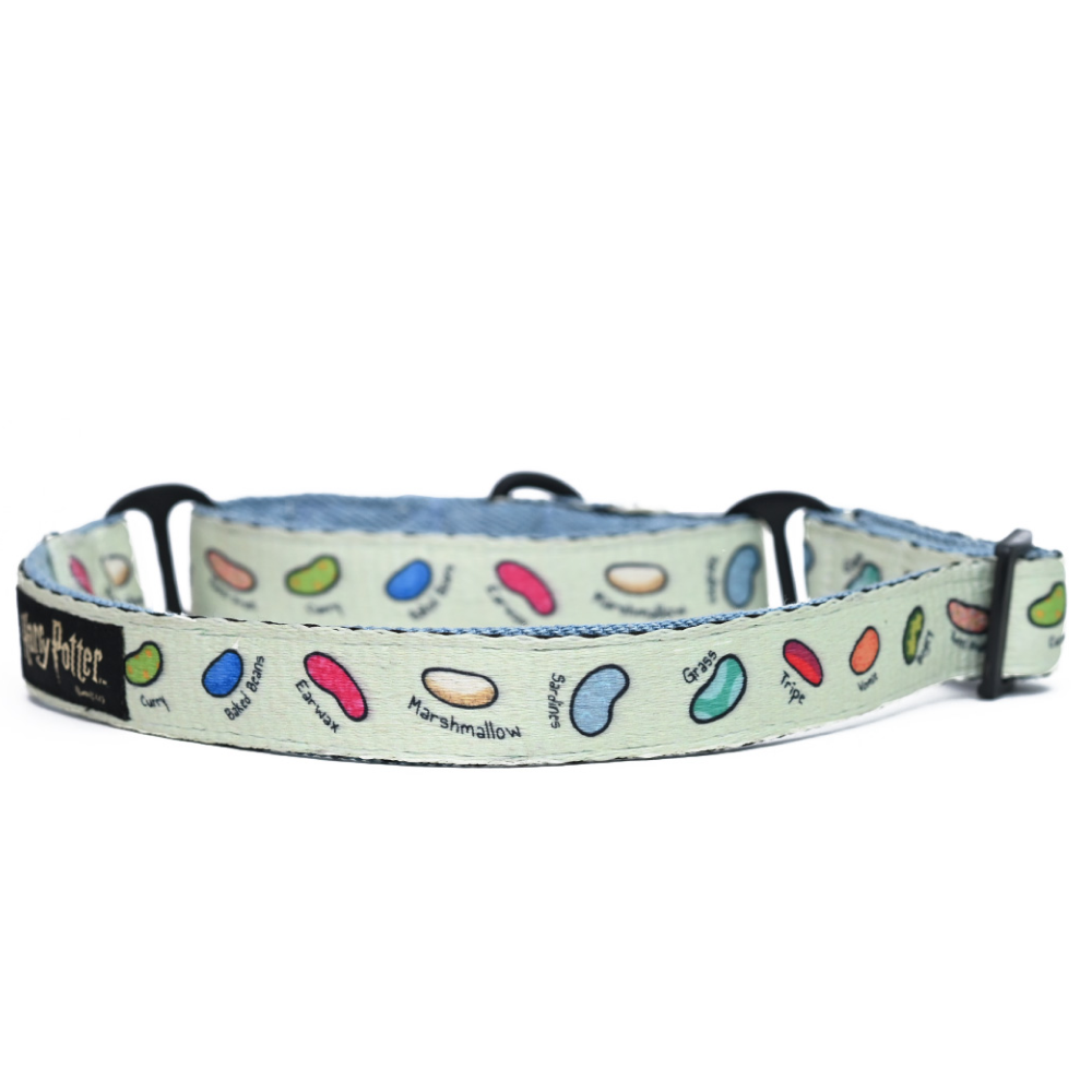 Harry Potter Every Flavour Bean Martingale Collar for Dogs