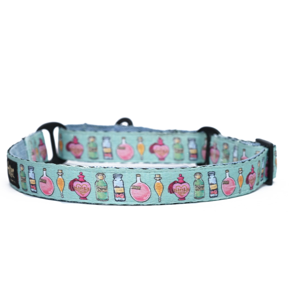Harry Potter Potions In Motions Martingale Collar for Dogs