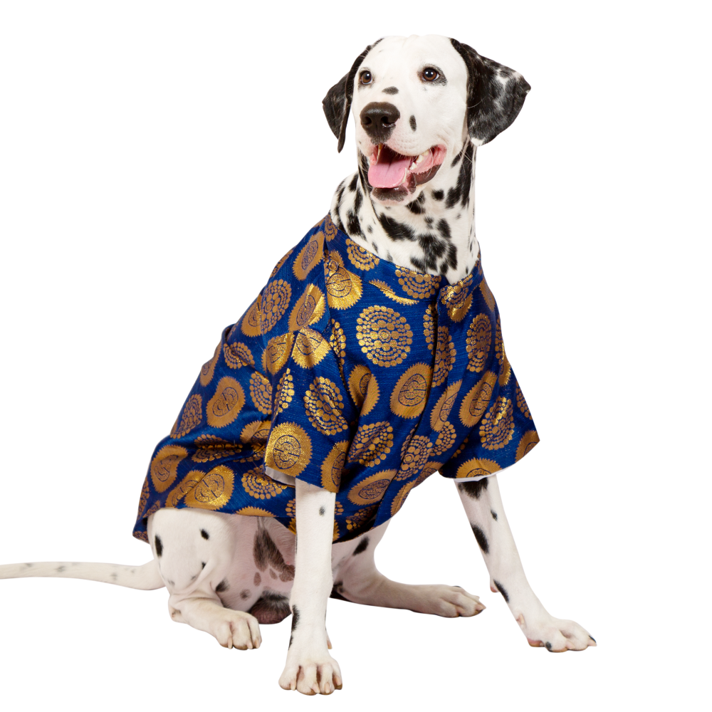 Up4pets Party Dazzle Sherwani For Pets (Blue)