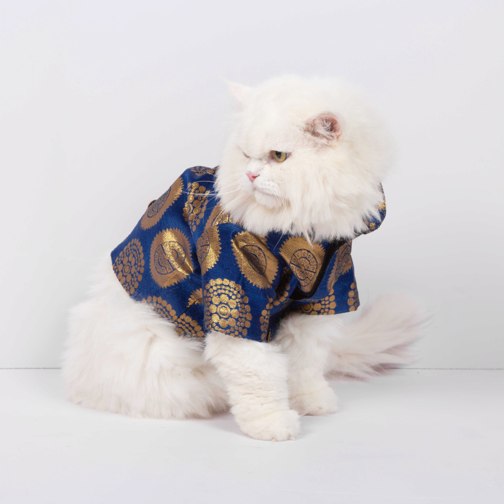 Up4pets Party Dazzle Sherwani For Pets (Blue)