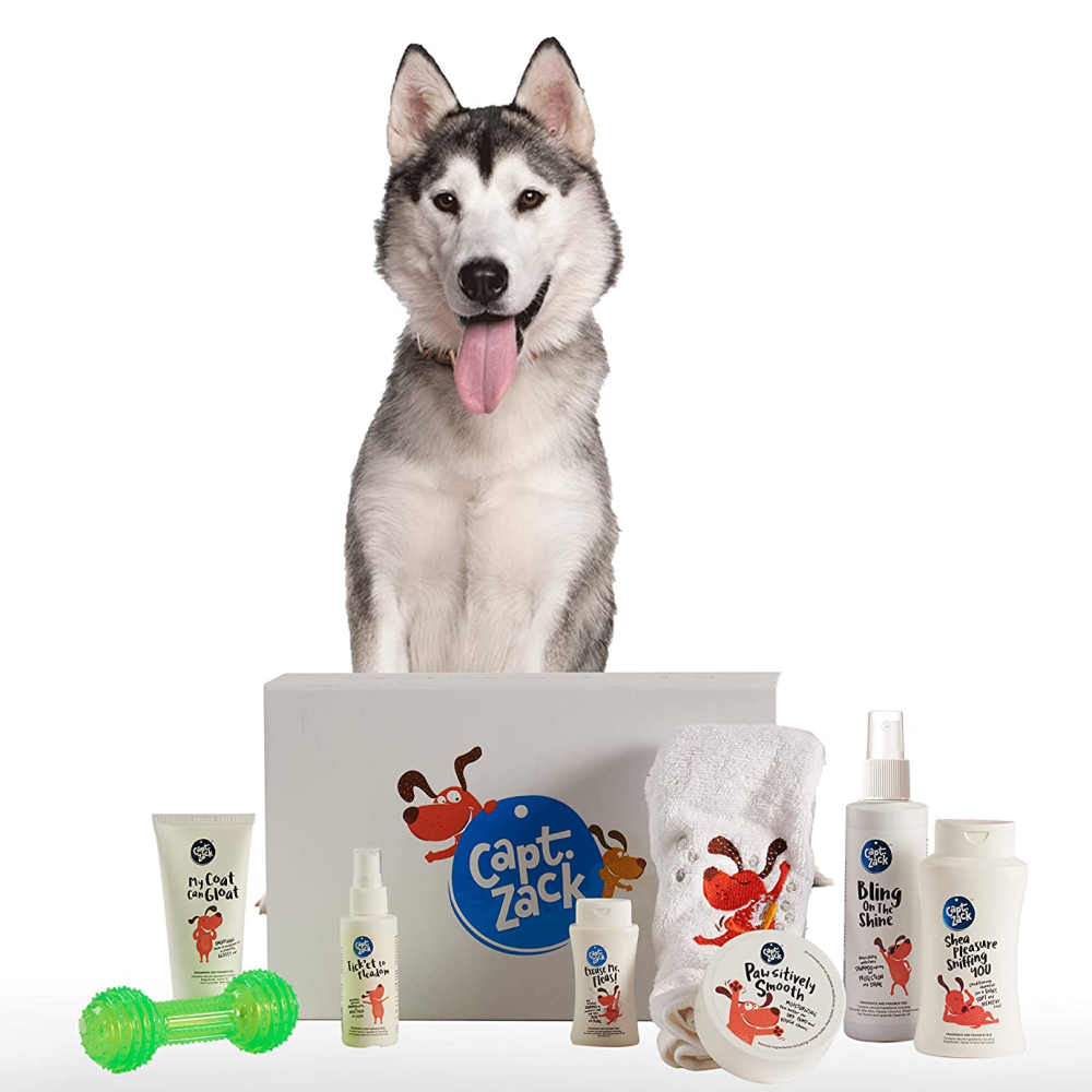Captain Zack The Husky Groom Box
