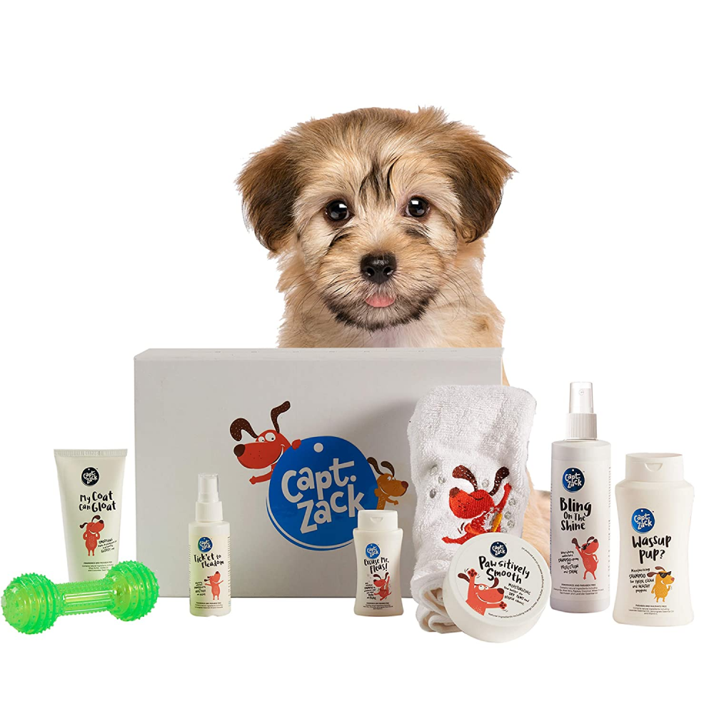 Captain Zack The Puppy Groom Box