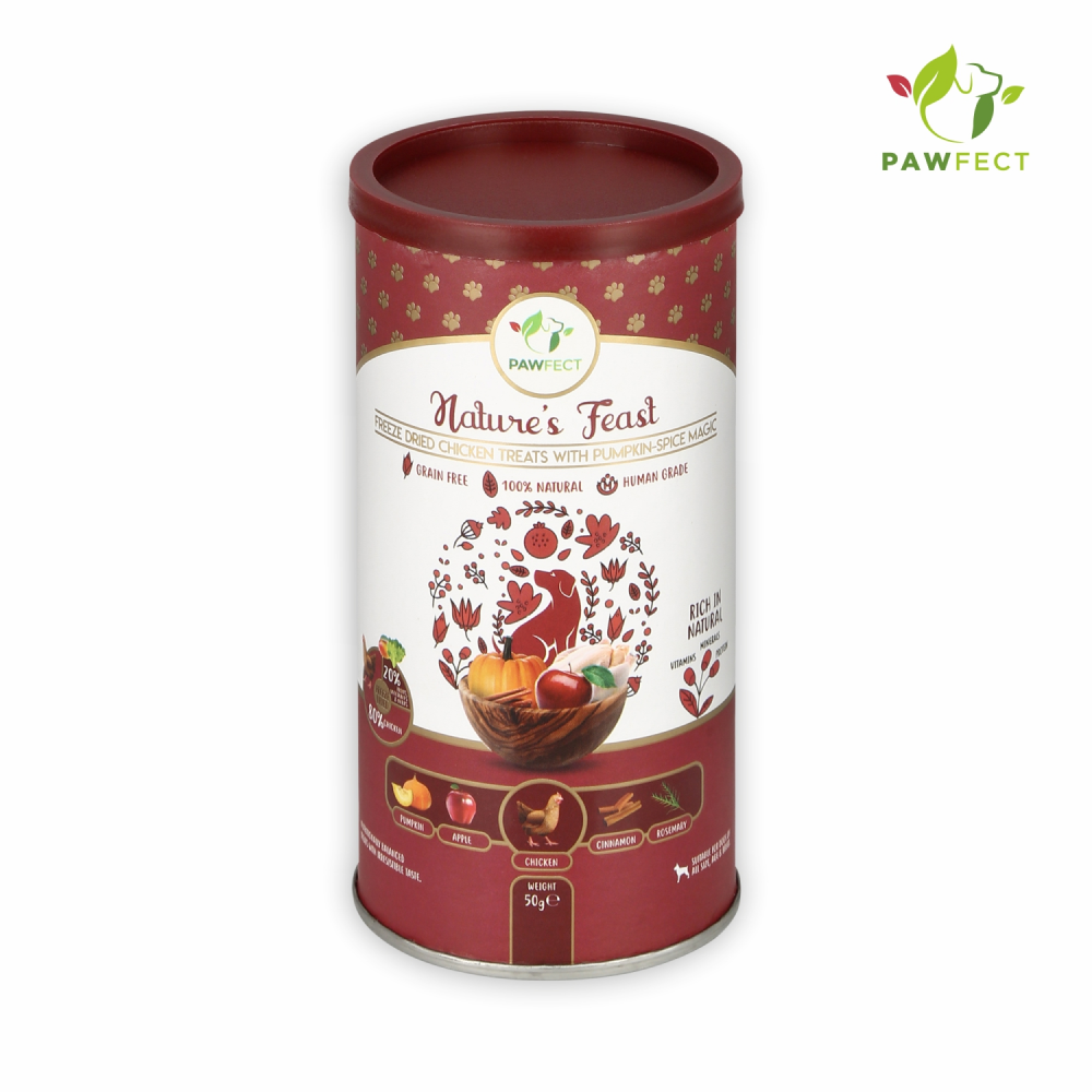 Pawfect Natures Feast Pumpkin Spice Magic Dog Treats