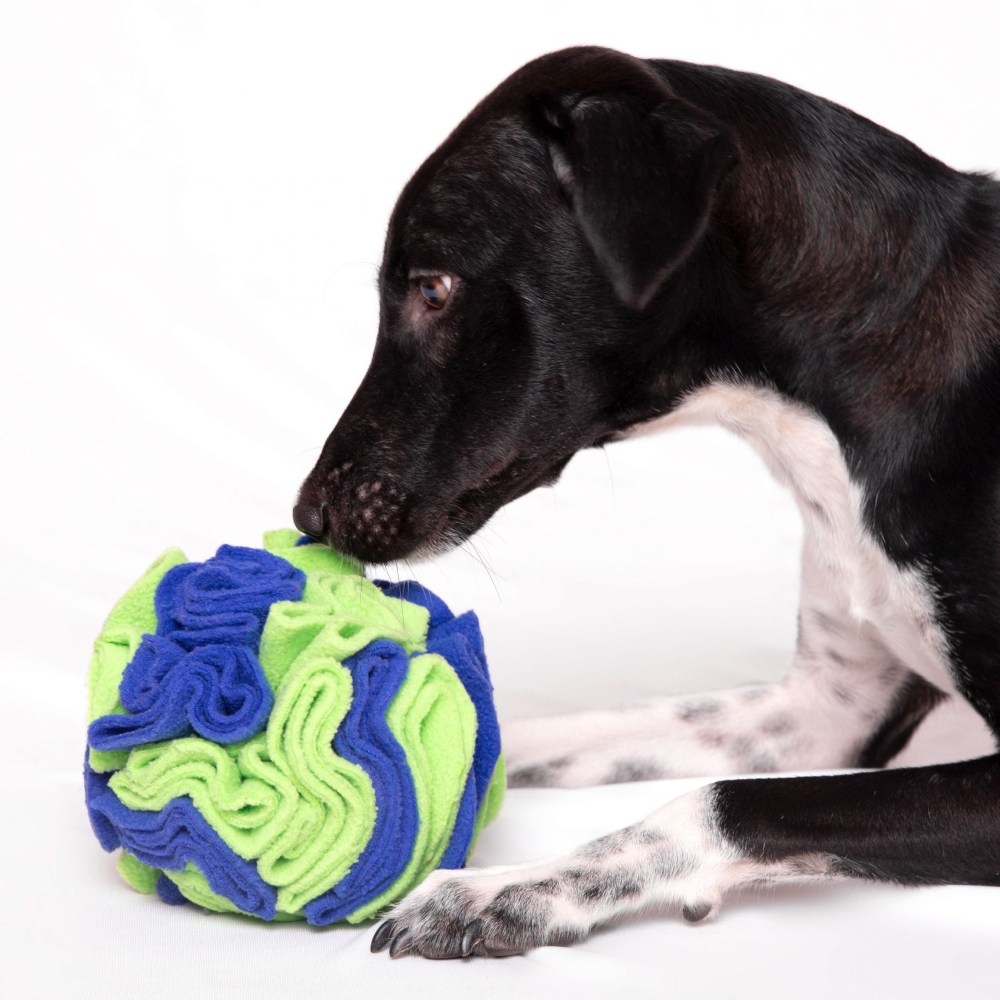 For The Love Of Dog Sniffer Ball Toy for Dogs