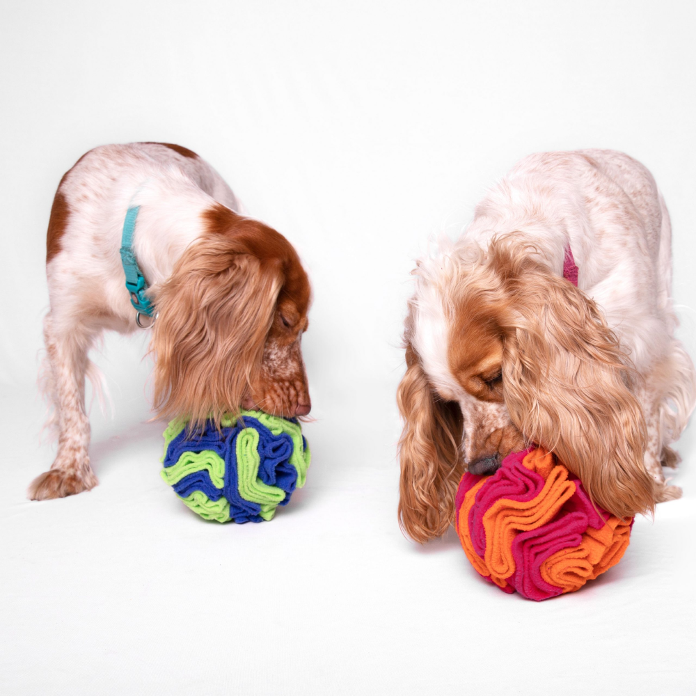 For The Love Of Dog Sniffer Ball Toy for Dogs