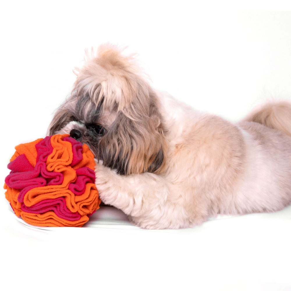 For The Love Of Dog Sniffer Ball Toy for Dogs