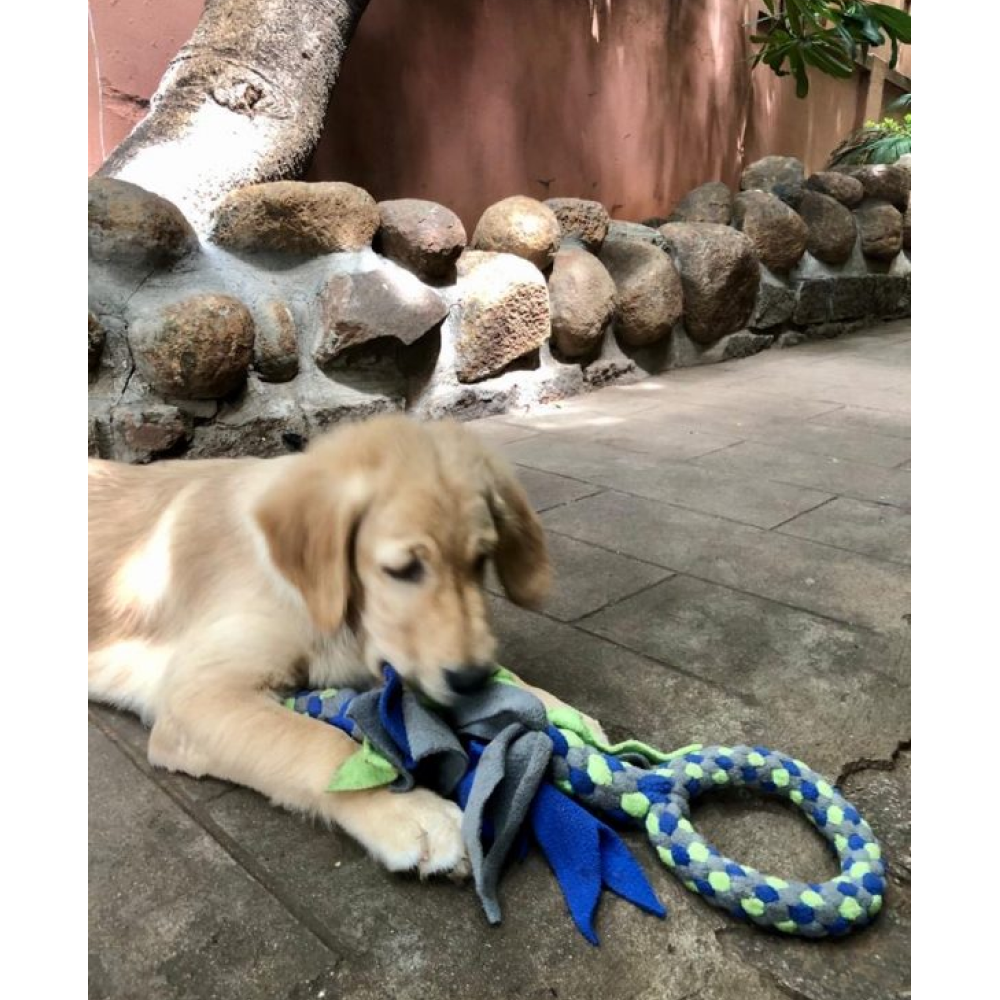 For The Love Of Dog Tug O Loop Toy for Dogs (Buy 1 Get 1)