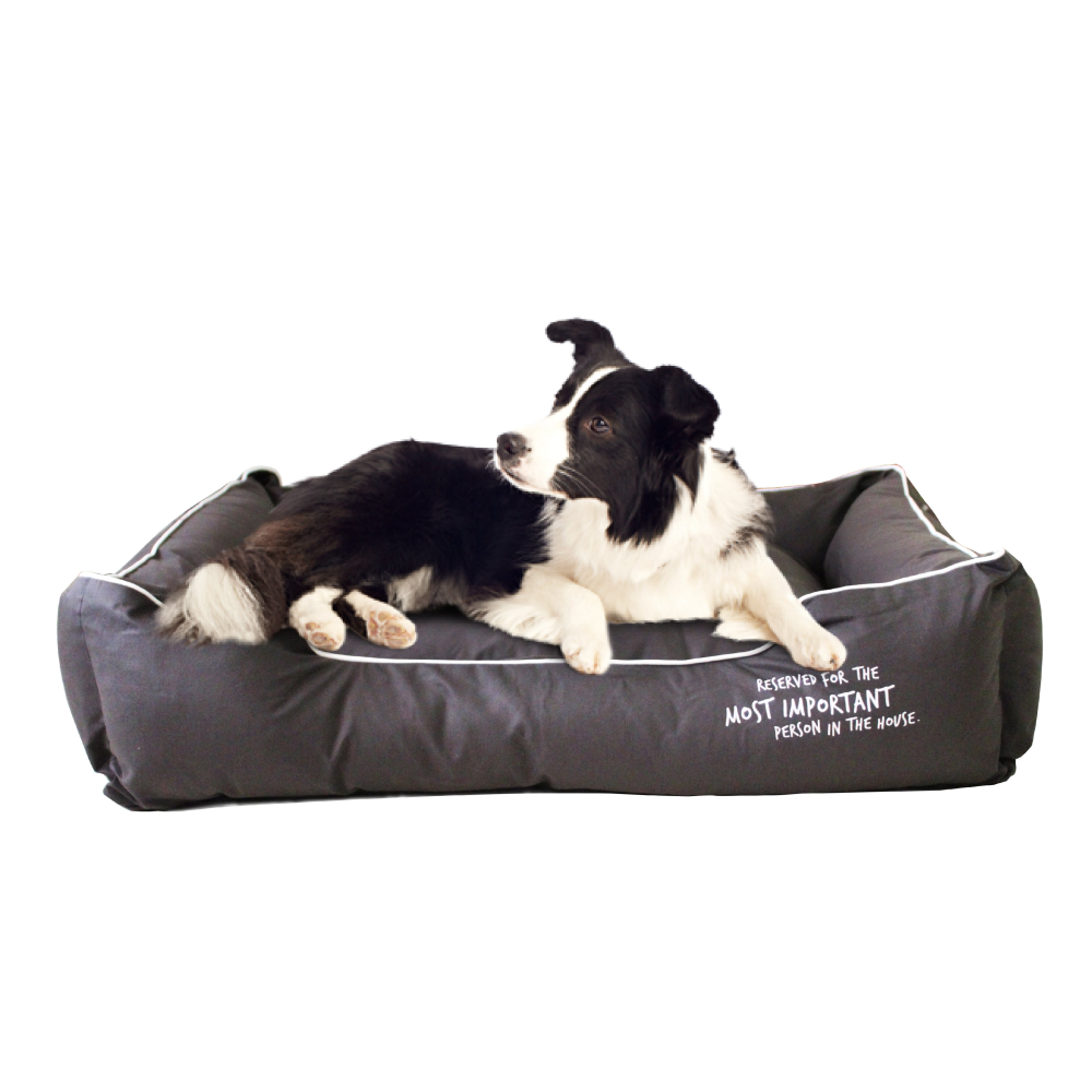 Captain Zack Dream Bedzzz for Dogs (Grey)
