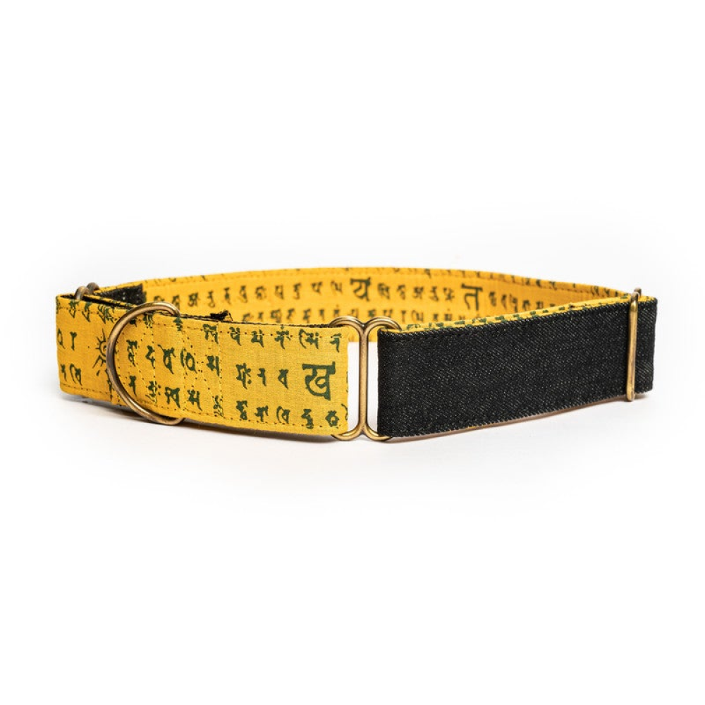 PetWale Denim Martingale Collar for Dogs (Black)