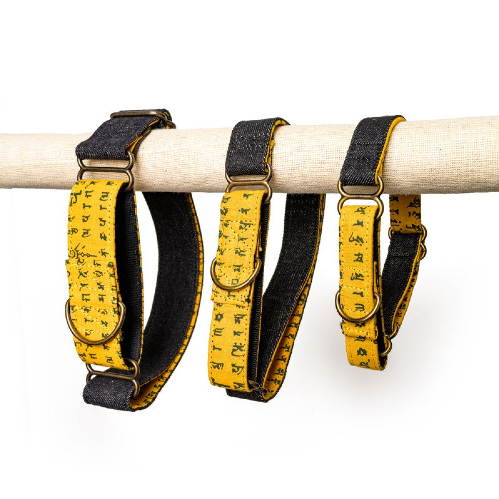 PetWale Denim Martingale Collar for Dogs (Black)