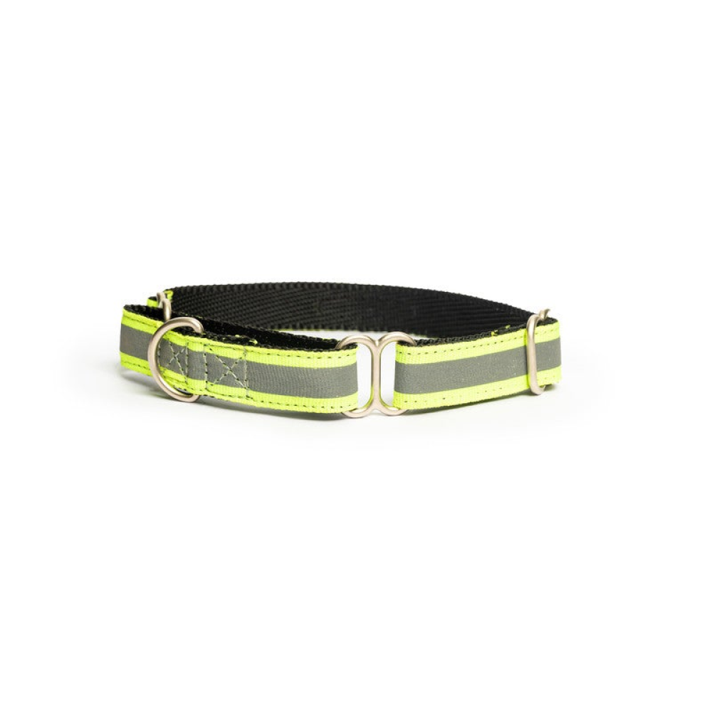 PetWale Reflective Martingale Collar for Dogs (Green)