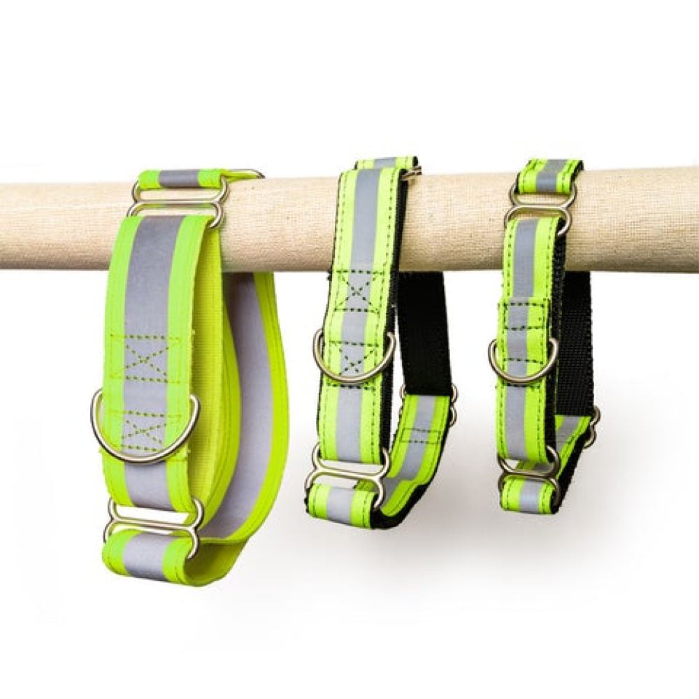 PetWale Reflective Martingale Collar for Dogs (Green)