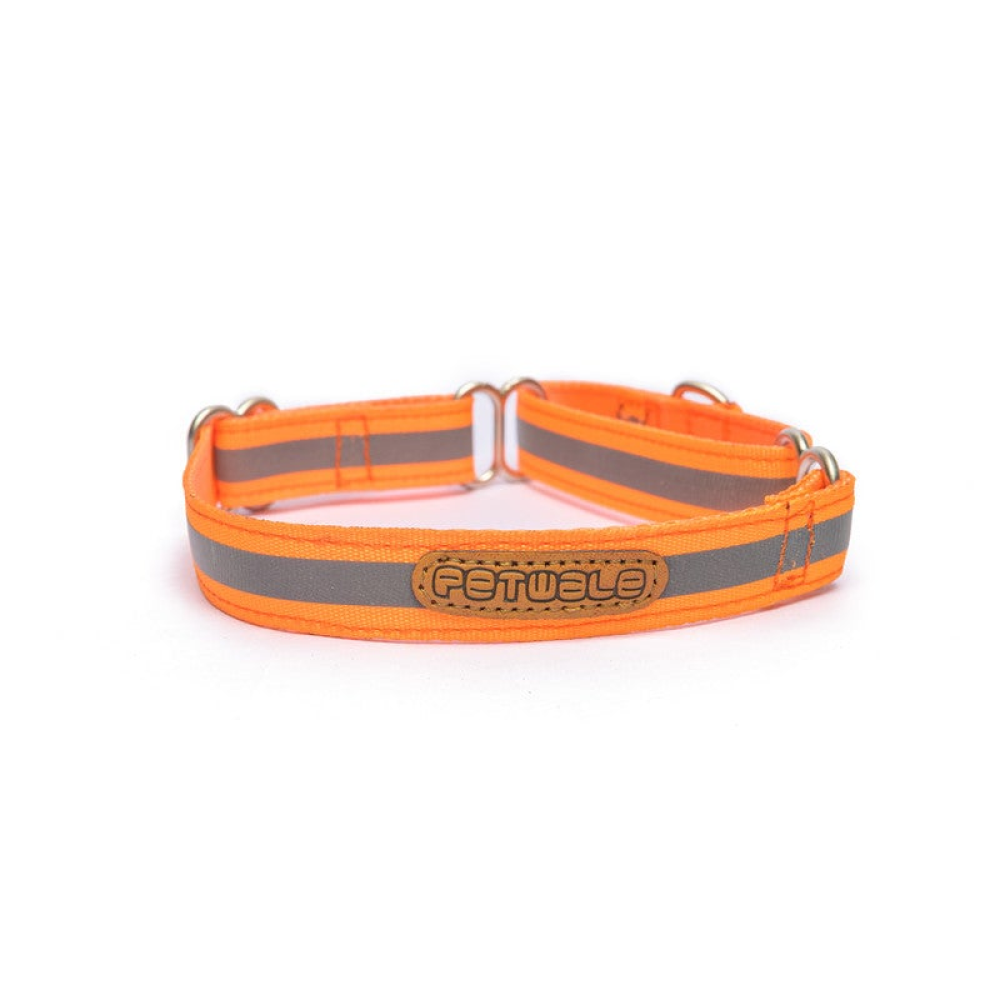 PetWale Reflective Martingale Collar for Dogs (Orange)