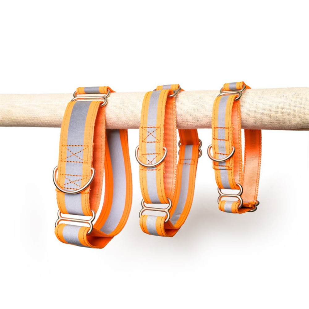 PetWale Reflective Martingale Collar for Dogs (Orange)