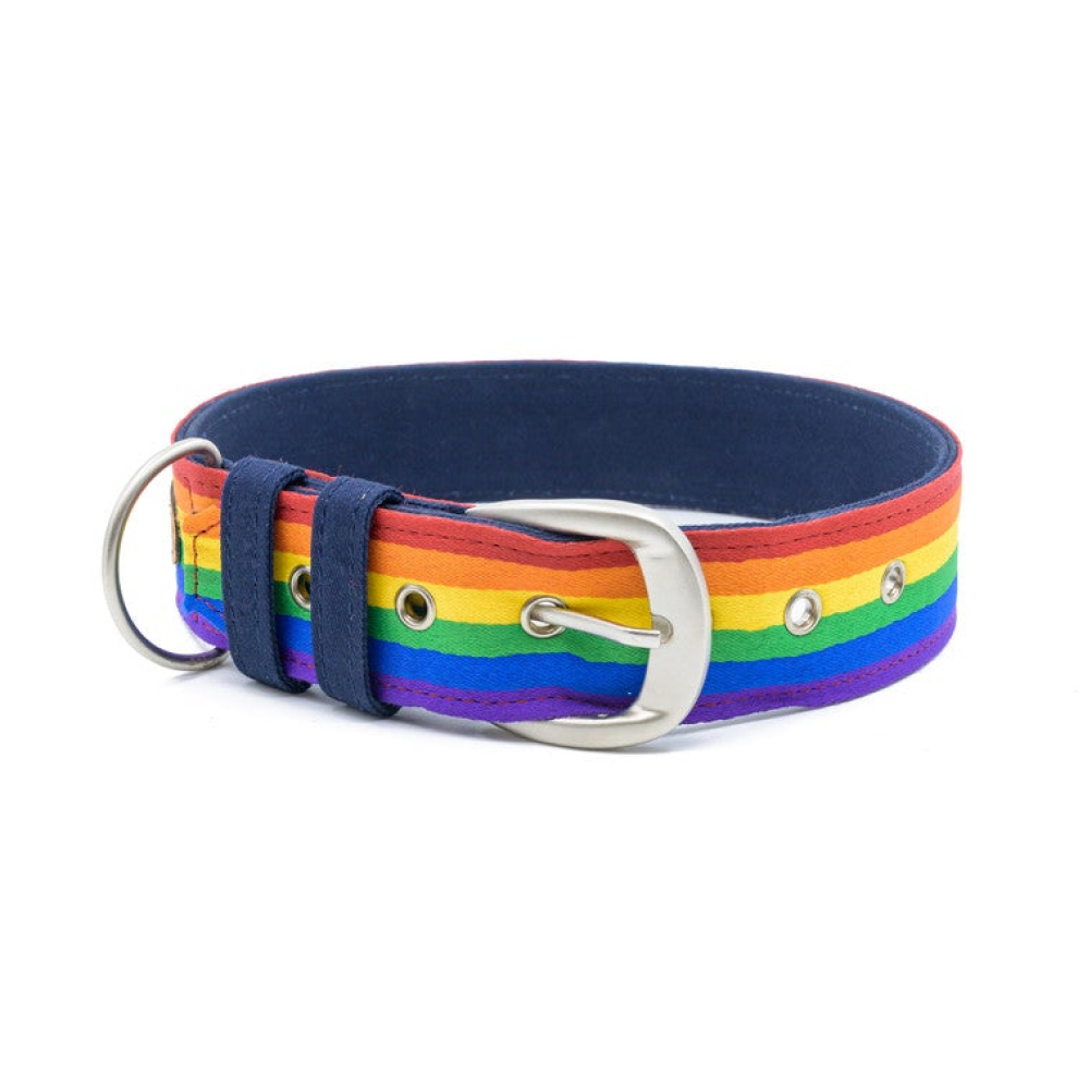 PetWale Rainbow Pride Belt Collar for Dogs