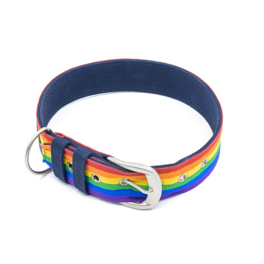 PetWale Rainbow Pride Belt Collar for Dogs