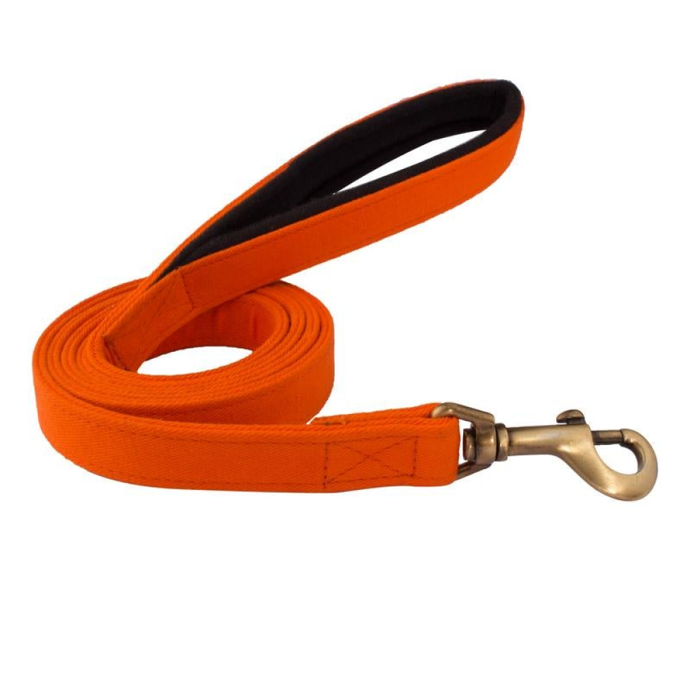 PetWale Padded Handle Leash for Dogs (Orange)