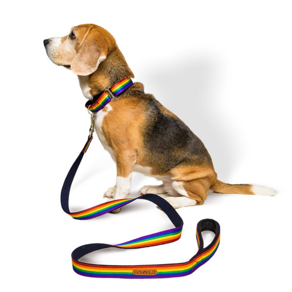 PetWale Rainbow Pride Padded Handle Leash for Dogs (Multicolour)