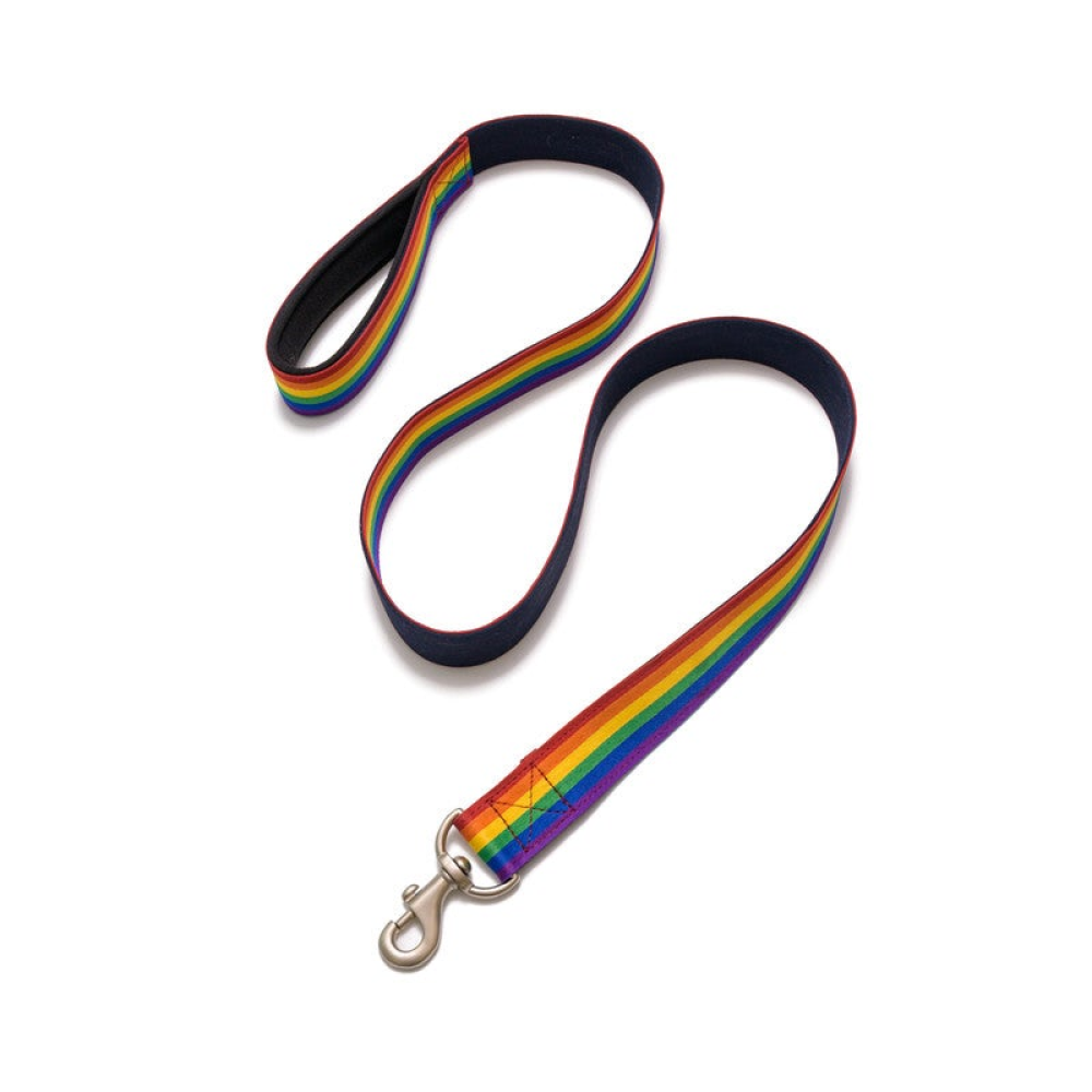 PetWale Rainbow Pride Padded Handle Leash for Dogs (Multicolour)