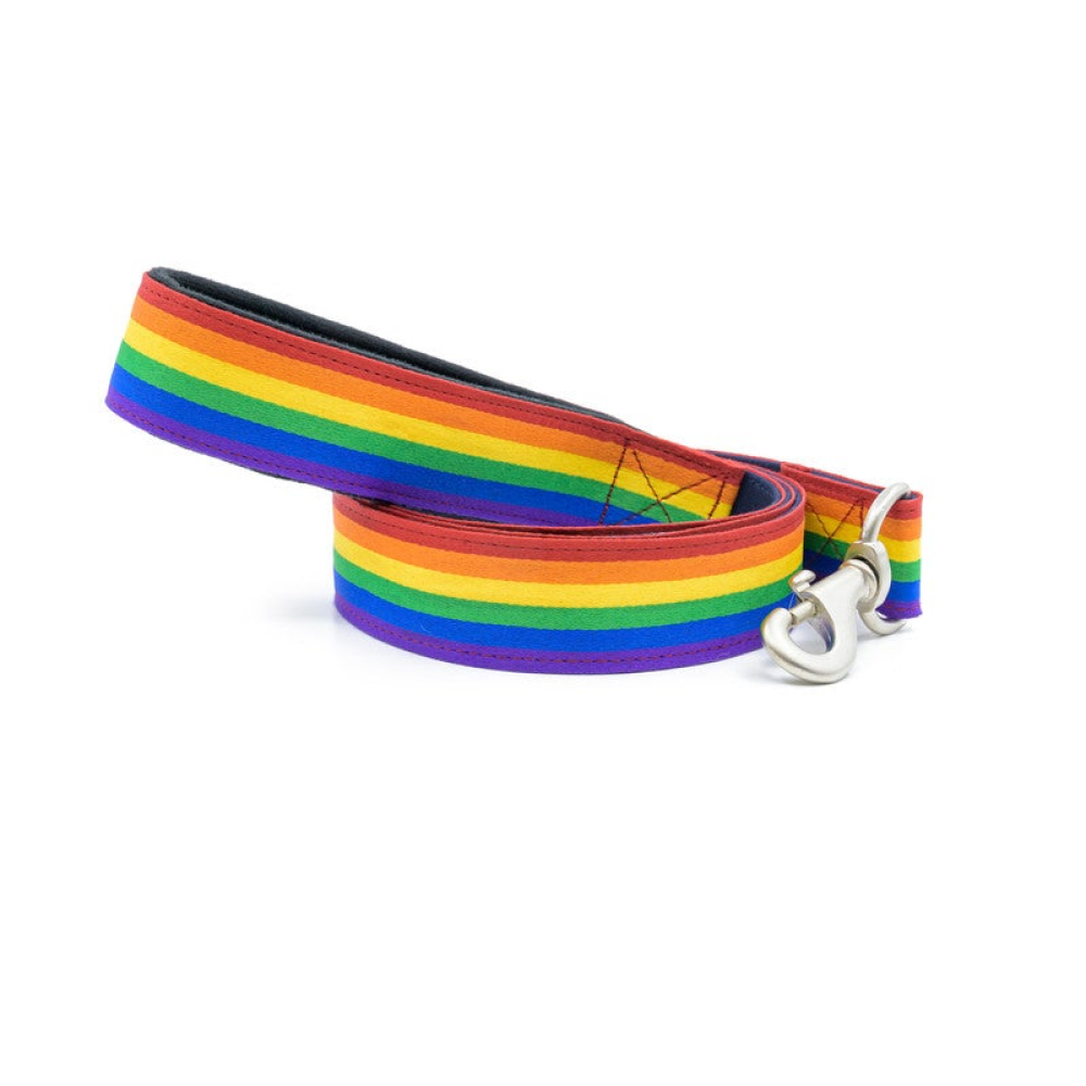 PetWale Rainbow Pride Padded Handle Leash for Dogs (Multicolour)