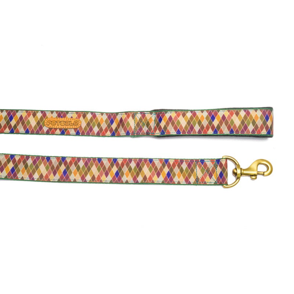 PetWale Diamond Padded Handle Leash for Dogs (Multicolour)