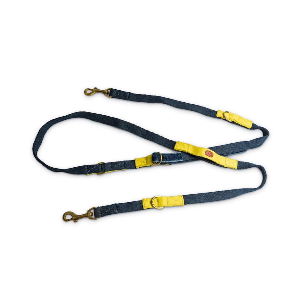 PetWale 7 in 1 Multi-Function Leash for Dogs