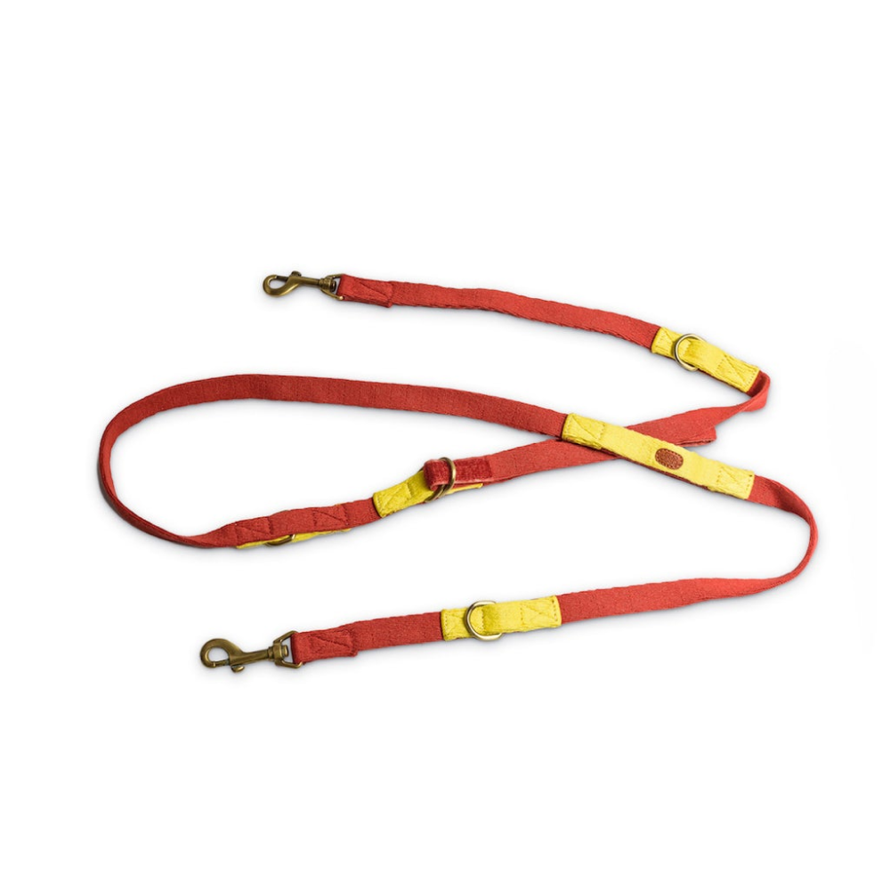 PetWale 7 in 1 Multi-Function Leash for Dogs